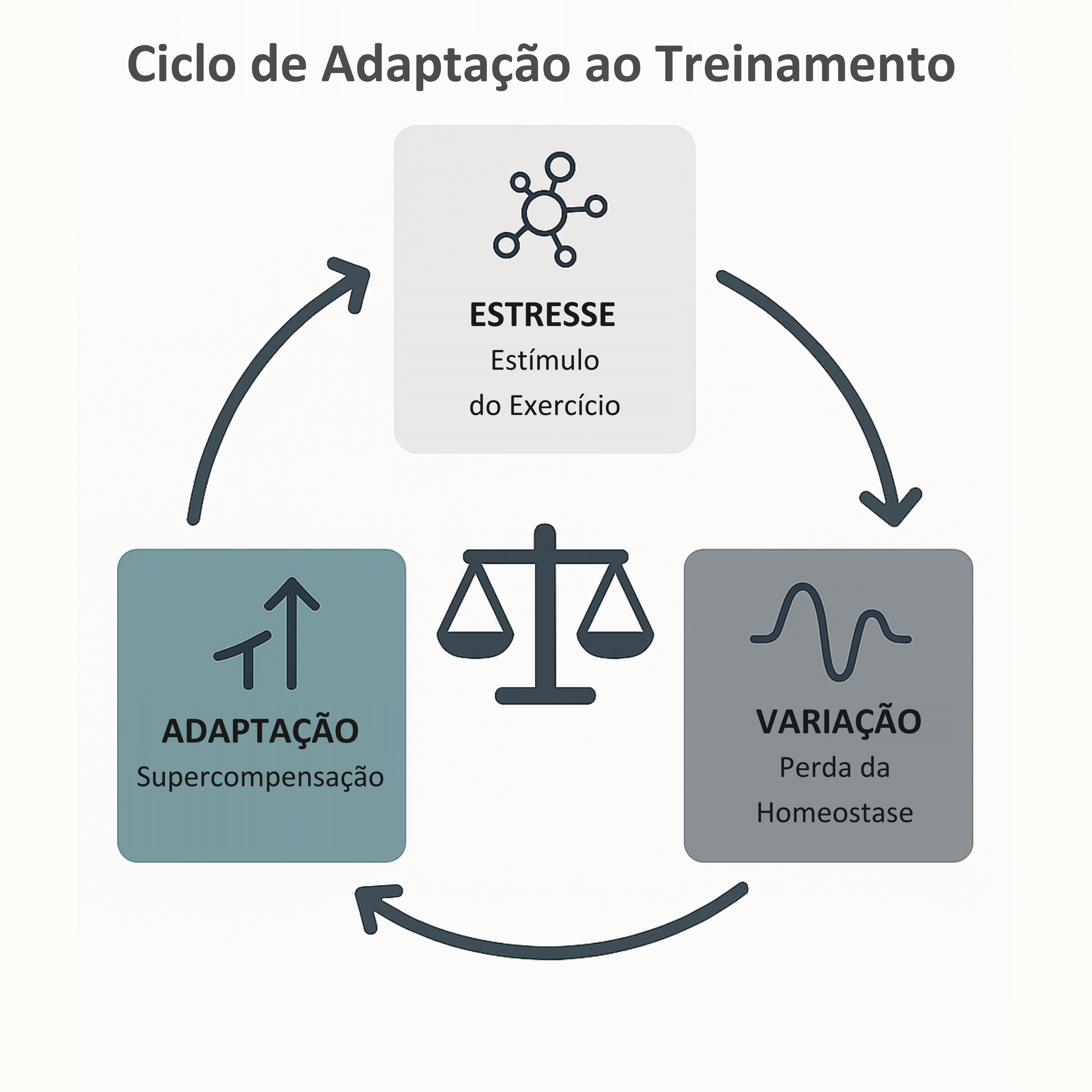 Diagrama de fisiologia metabólica integrada